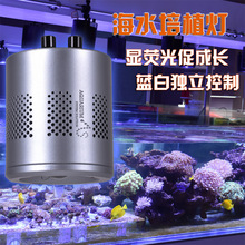 �ɶ��Ɵ�ɫ���^ ��ˮɺ���Bֳ�� �{�׹⪚���{��  LEDˮ�����