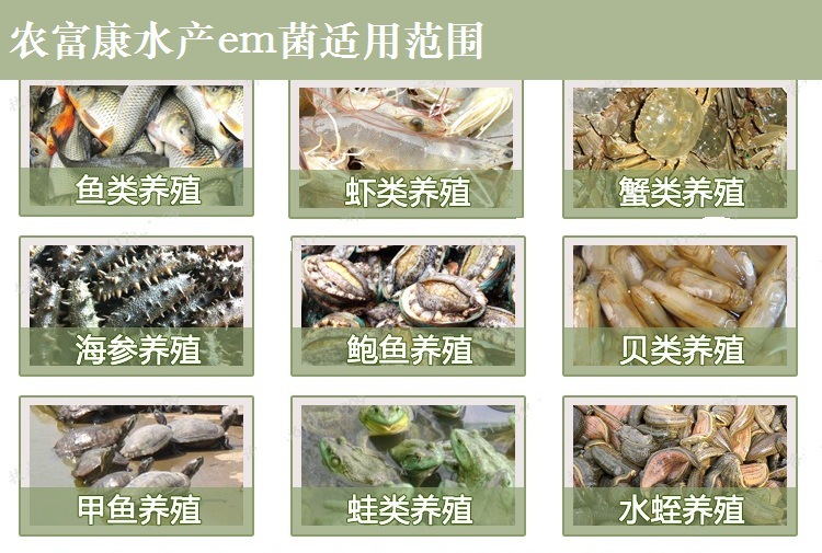 水产专用em益生菌液