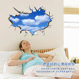 可移除墙贴批发仿3D立体客厅卧室逼真自粘装饰画壁饰AY9253裸装