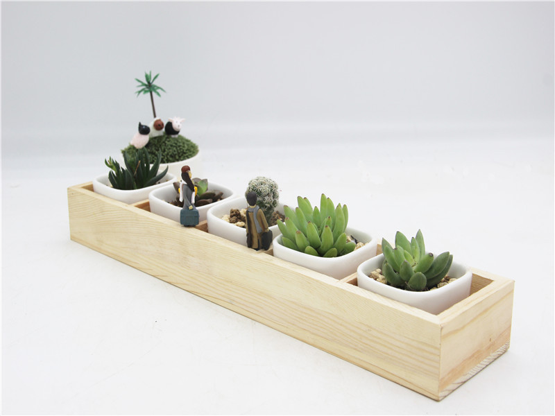 wKhQpVV70T-ENx_KAAAAAPut6wY564