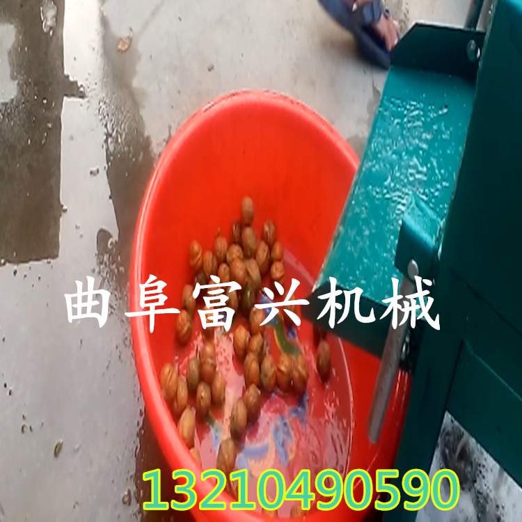 苏州高效率青皮核桃清洗机 鲜核桃剥皮清洗机 家用电扒皮机