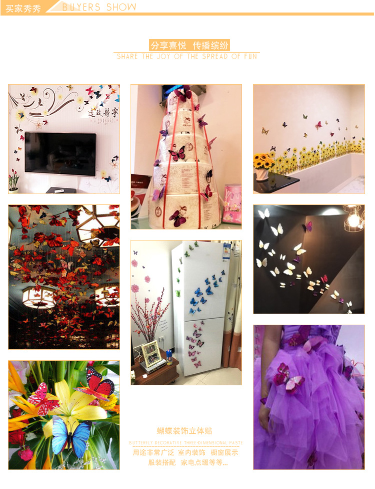 金色单层蝴蝶详情_08