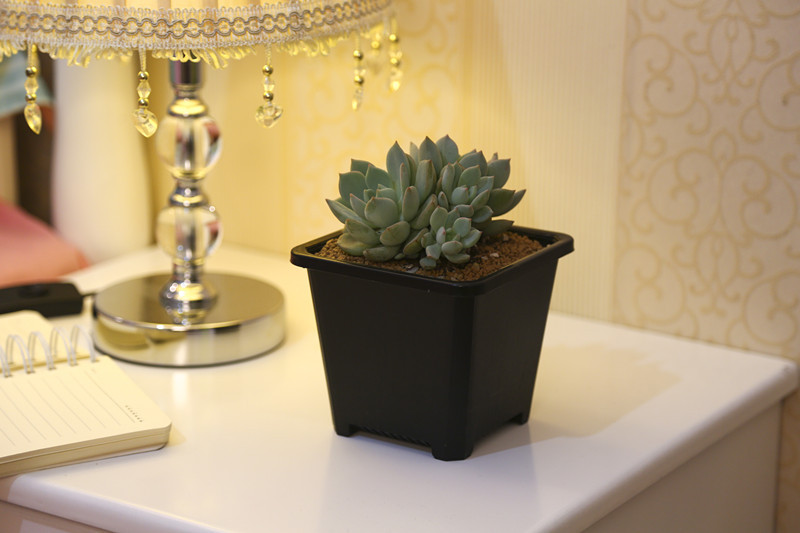 PHOTO700-P90A7384_副本