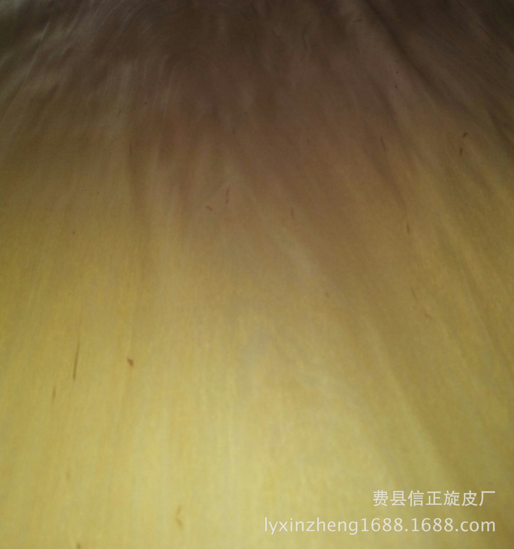 IMG_20160401_144456-1