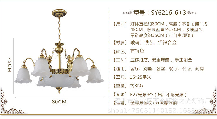 6216-6參數