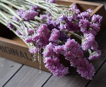 �����Ҹɻ� ��ϸɻ���ɫ����������������������յ��߻�������