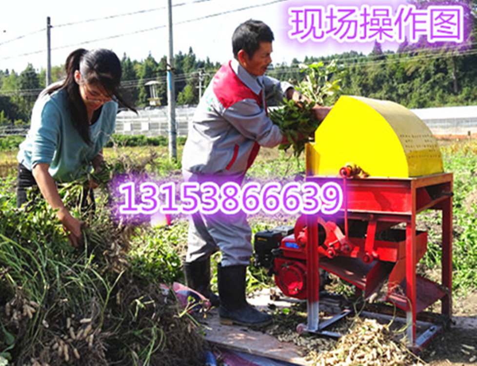 770062675130099289_副本_副本