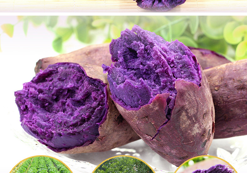 紫薯_02