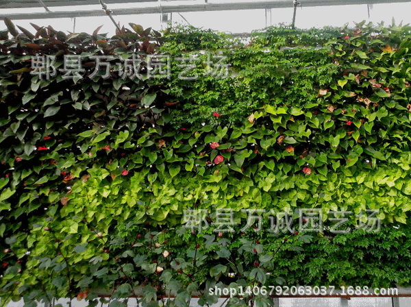 0143e4fe-3f5b-486d-9873-14d0ba