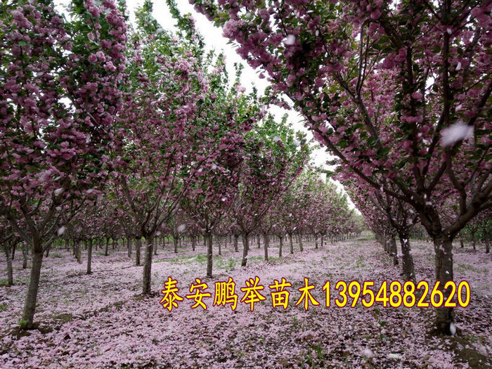 IMG20160416172259