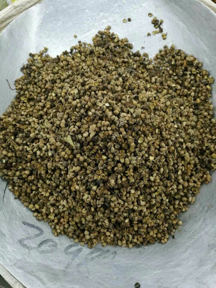 518A625DBB0E11168B857F6590E678