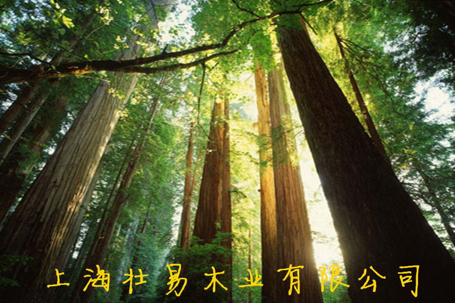 c60b2aca729434d94f59cb30e25da1