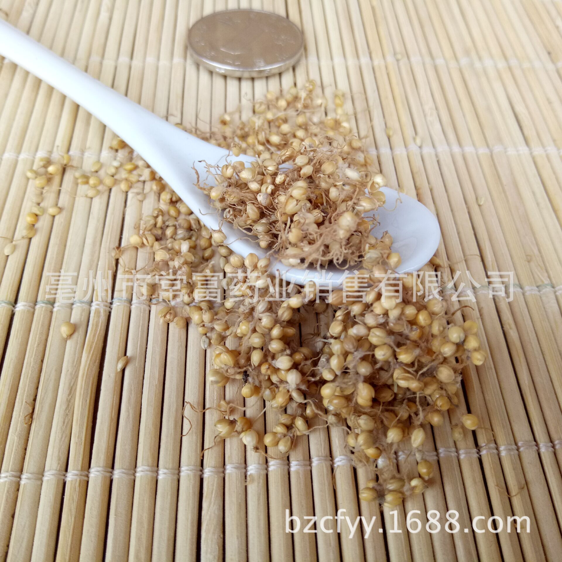 Dried Setaria Sprouted Grain Gu Ya 谷芽 Sprouted Millet Grain TCM Herbal Ingredient 500g key features