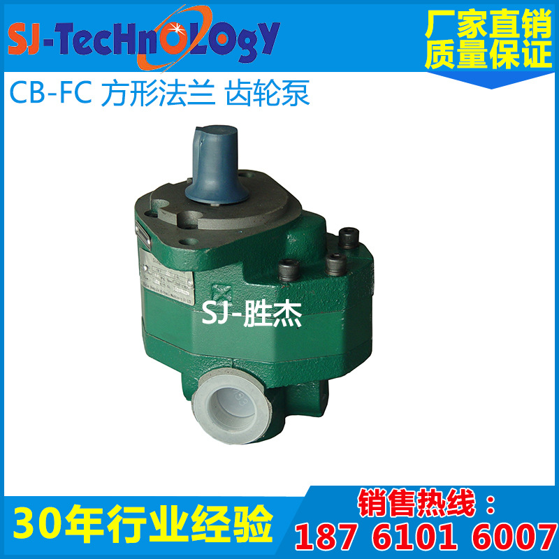 CB-FC方形法蘭 齒輪泵1