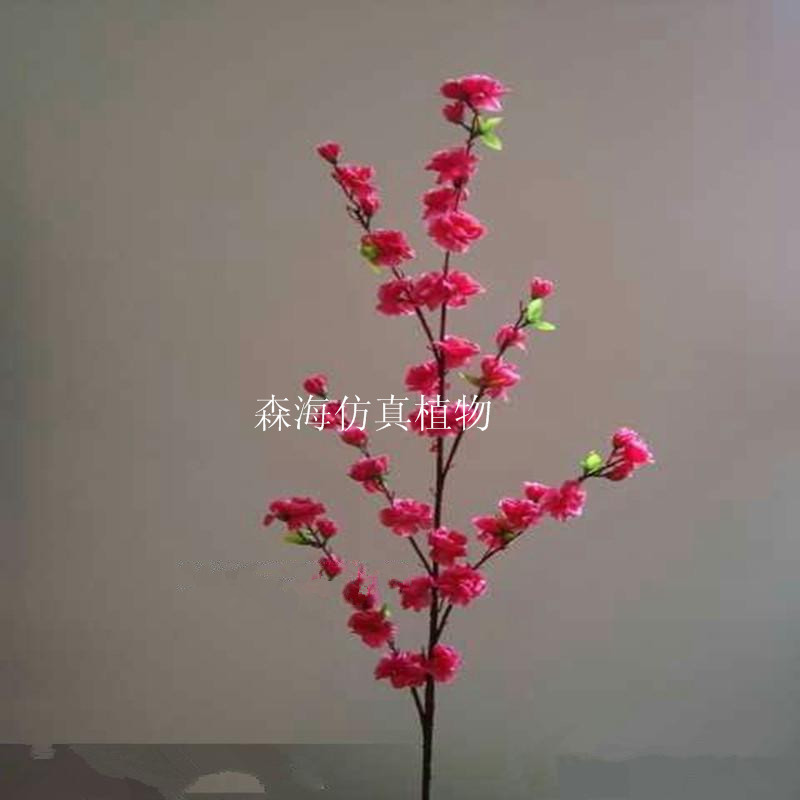 TB2dW_ljFXXXXacXpXXXXXXXXXX_!!