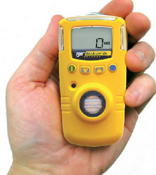 加拿大BW 氨气检测仪GAXT-A 气体检测仪 NH3检测