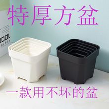 С̖ �غ�\���� �������ϻ��� ���κڷ� ĥɰ �������