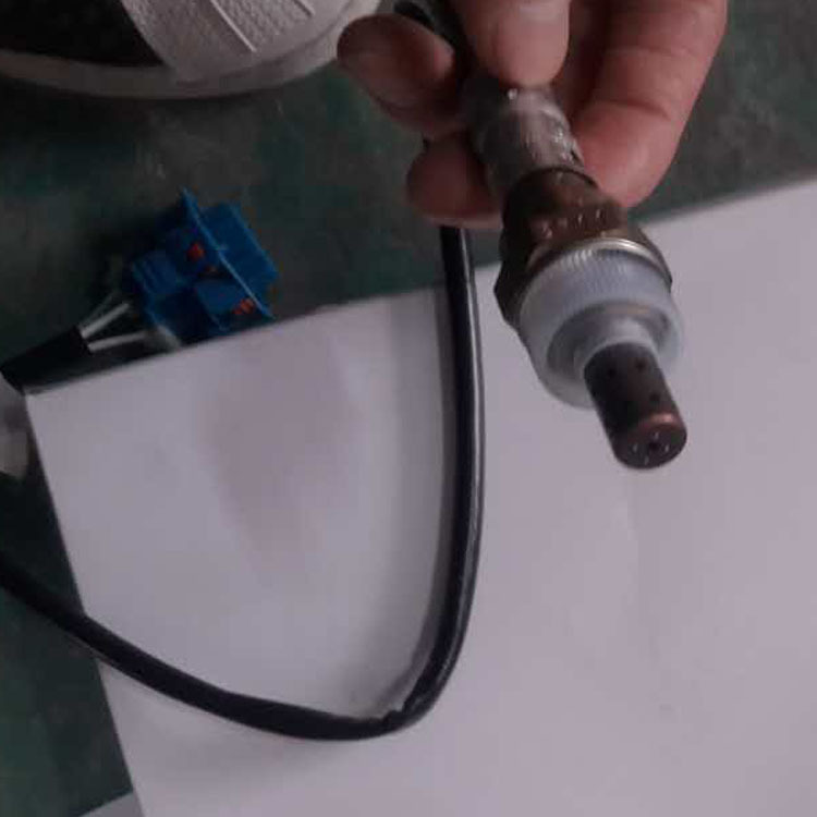 �������� ����ѩ������³��1.6Lǰ��55566650����55566648