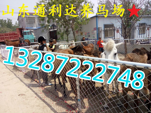 IMG20160429114025_meitu_6