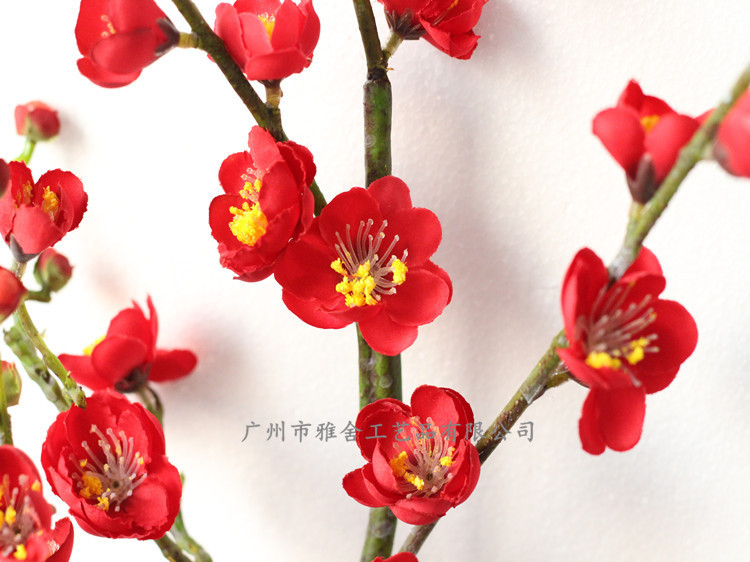 IMG_3198_副本