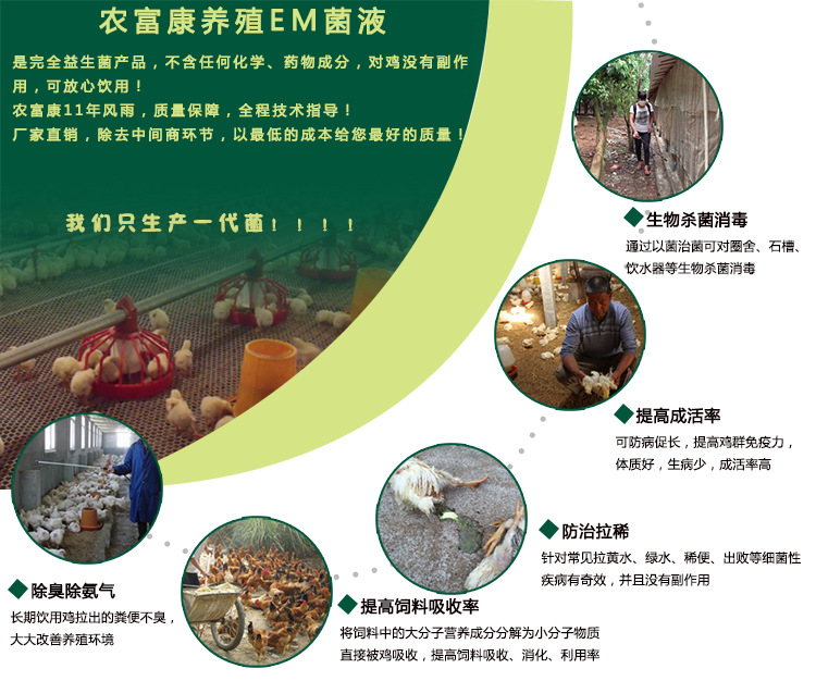 1、生物杀菌消毒：通过以菌治菌可对圈舍、石槽、饮水器等生物杀菌消毒；2、提高成活率：可防病促长，提高鸡群免疫力，体质好，生病少，成活率高；3、防治拉稀：针对常见拉黄水、绿水、稀便、出败等细菌性疾病有奇效，并且没有副作用；4、提高饲料吸收率：将饲料中的大分子营养成分分解为小分子物质直接被鸡吸收，提高饲料吸收、消化、利用率；5、除臭除氨气：长期饮用鸡拉出的粪便不臭，大大改善养殖环境