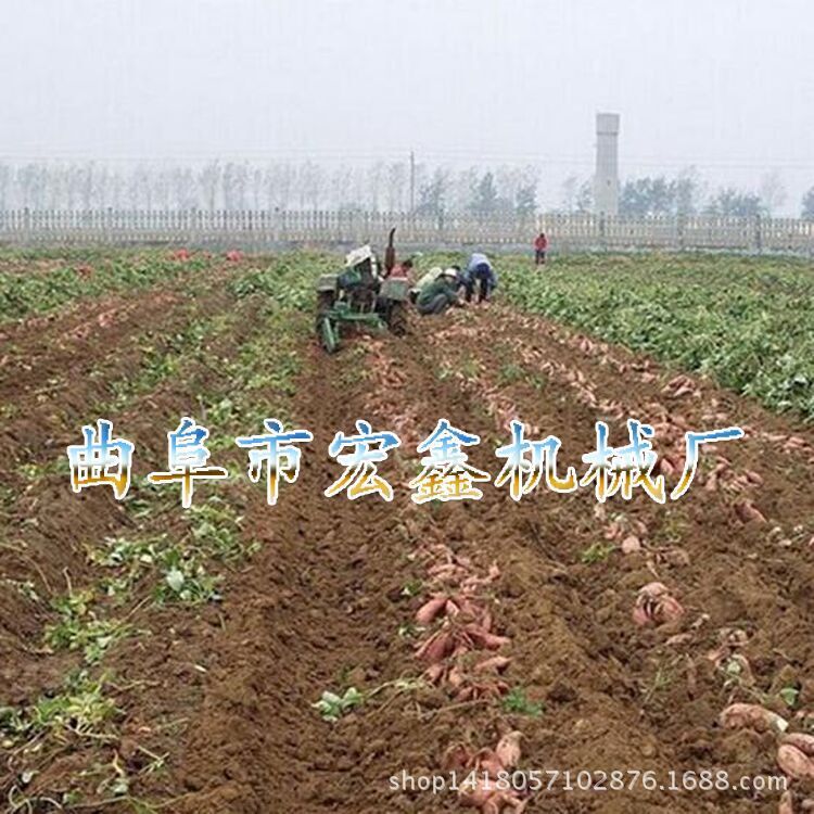 土豆收货机好用的 单人操作 花生收获机