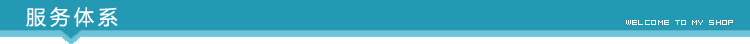 服务体系