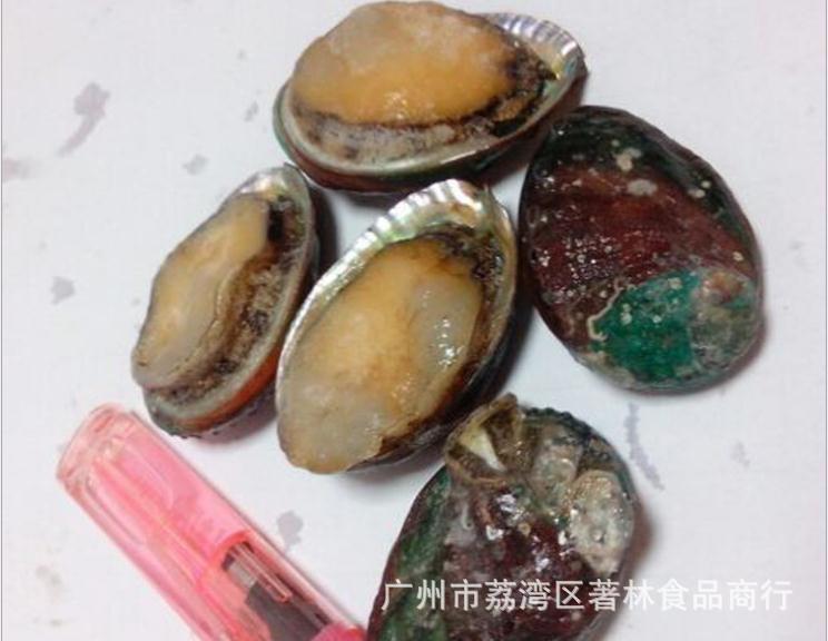 批发供应冷冻小鲍鱼青岛金利源水_20160607_13109