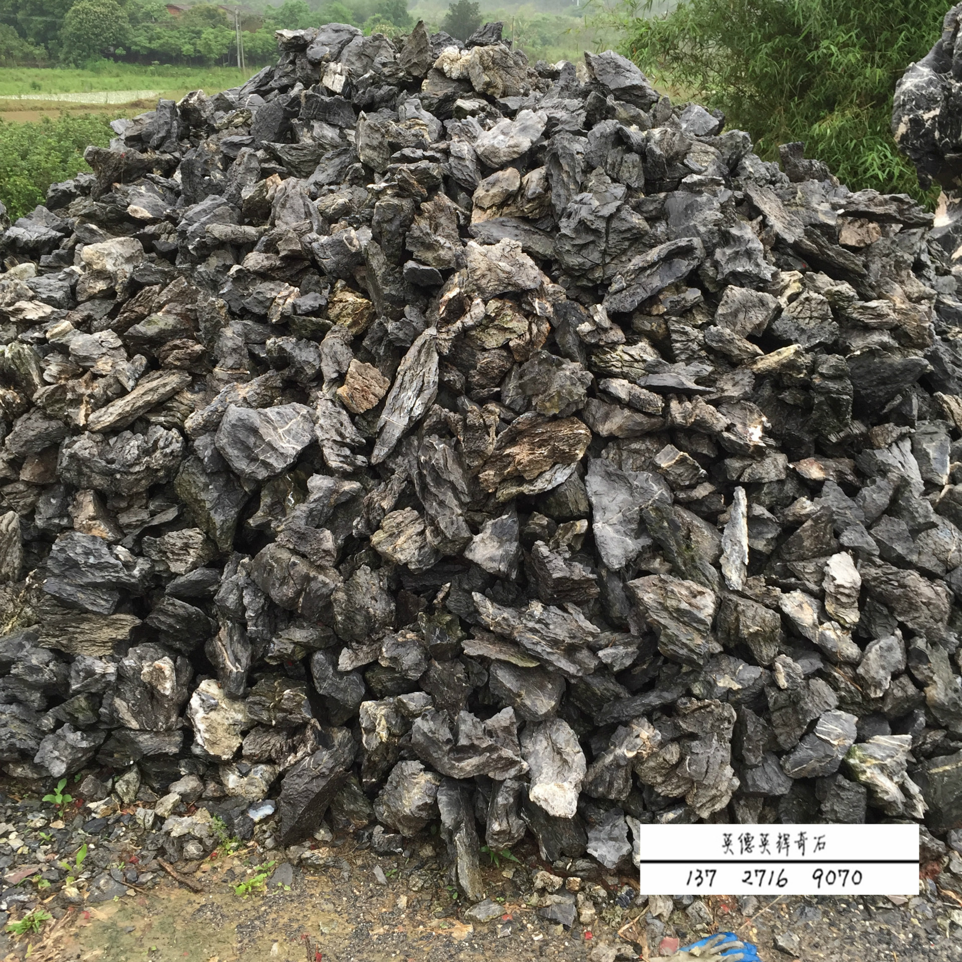 青龙石是英德石吗,青龙石是什么石头,青龙石是不是青石_大山谷图库