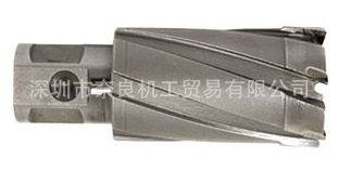 日本IKURA育良精机 CCSQ310超硬替刀现货