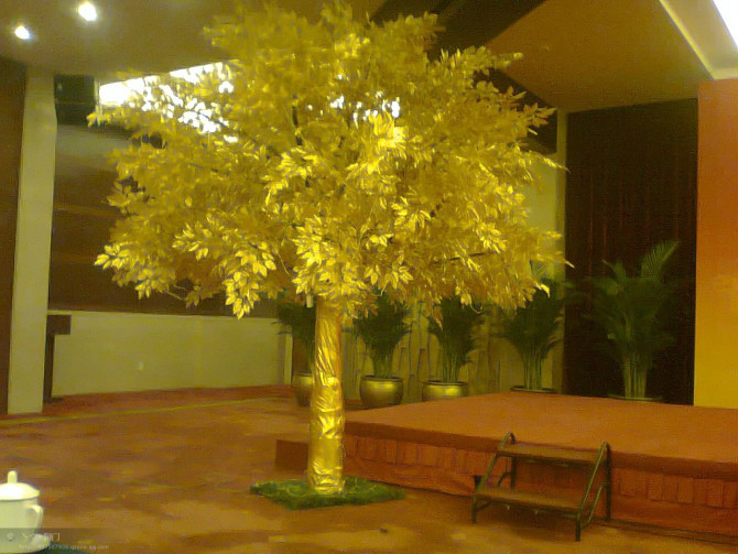 T2iAHfXj8aXXXXXXXX_!!226861897