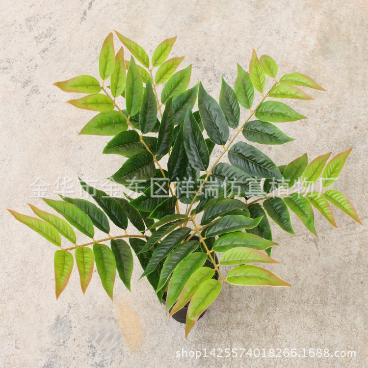 XRB-152立体天堂叶6叉枝5