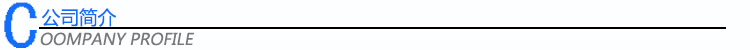 公司簡介1