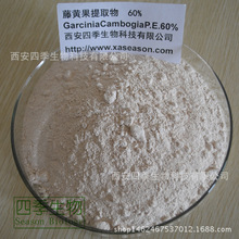 羟基柠檬酸60% HCA 印度藤黄果提取 藤黄果粉 四季生物大量现货