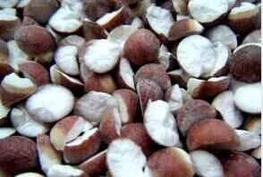 QQ图片20160510102331