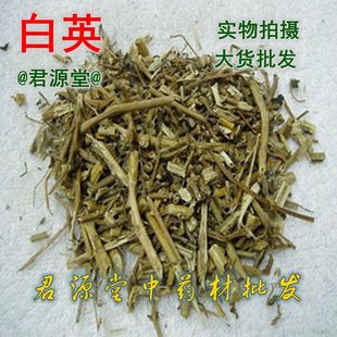 ��ș�İ�Ӣ,ǧ�겻����,����Ȫ,��ë��,������,���L��