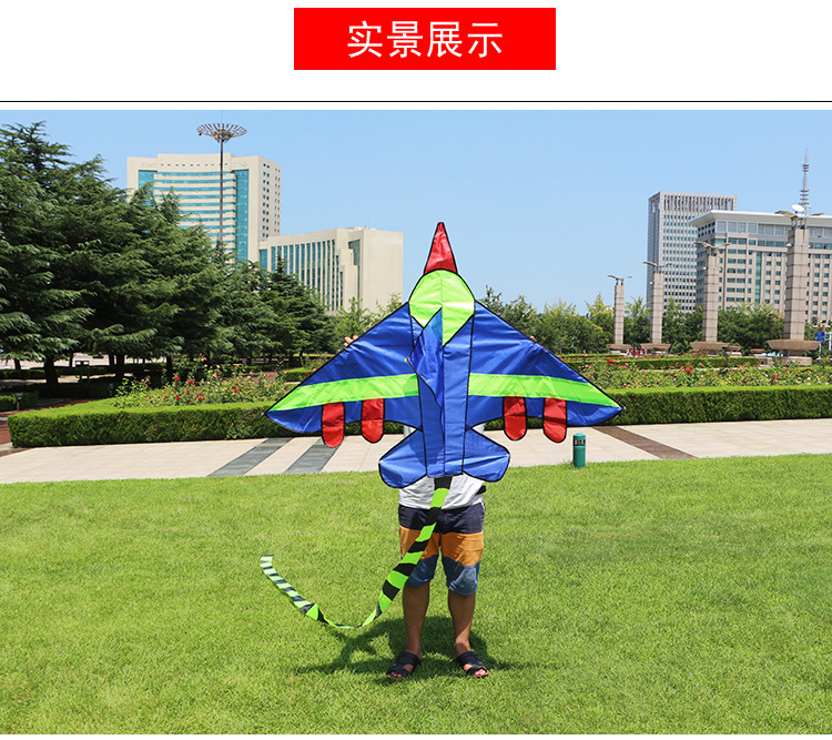 飞机描述_01_副本