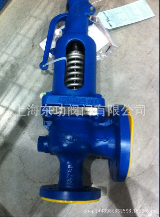 SV607-DS-英国斯派莎克SV607-DS全启式安全阀-斯派莎克