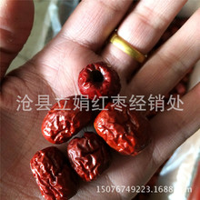 ���ݼt��ȥ���u�ė��o�˗��ɗ��� ���{ʳƷ������20�����l