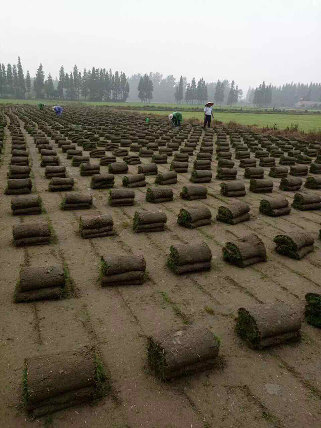 202596908227238940