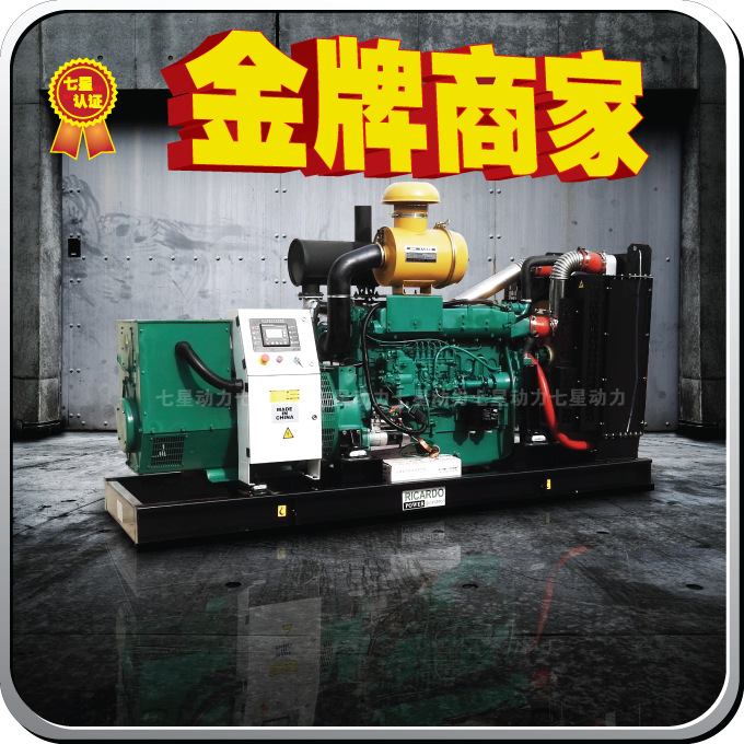 300KW发电机组 300千瓦柴油发电机 纯铜发电机 工厂直供