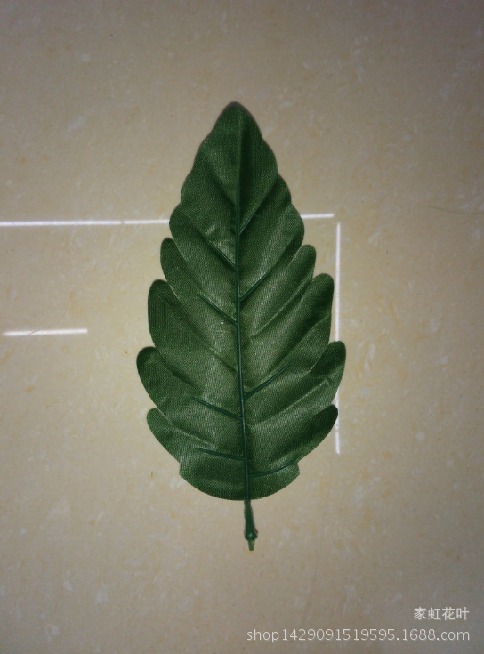 01XN_OO}BQ2(ZDCNUDRFG~0