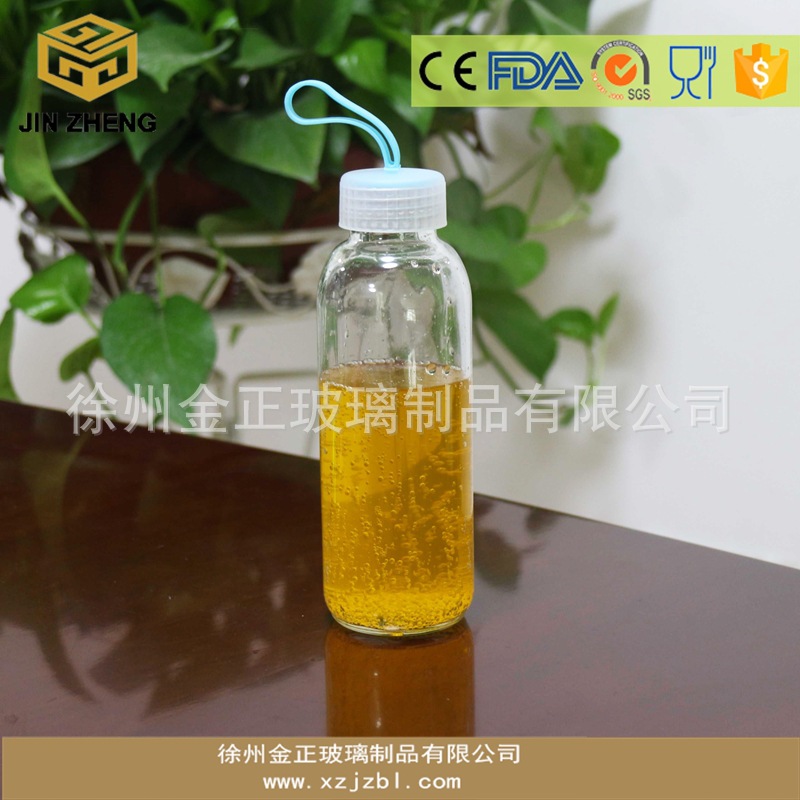 300毫升420毫升500毫升提手瓶 活动促销商业玻璃水杯