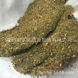 ��ș���R��� С���X�ݺɰ������Qݽ��i����ș������ һ�����l