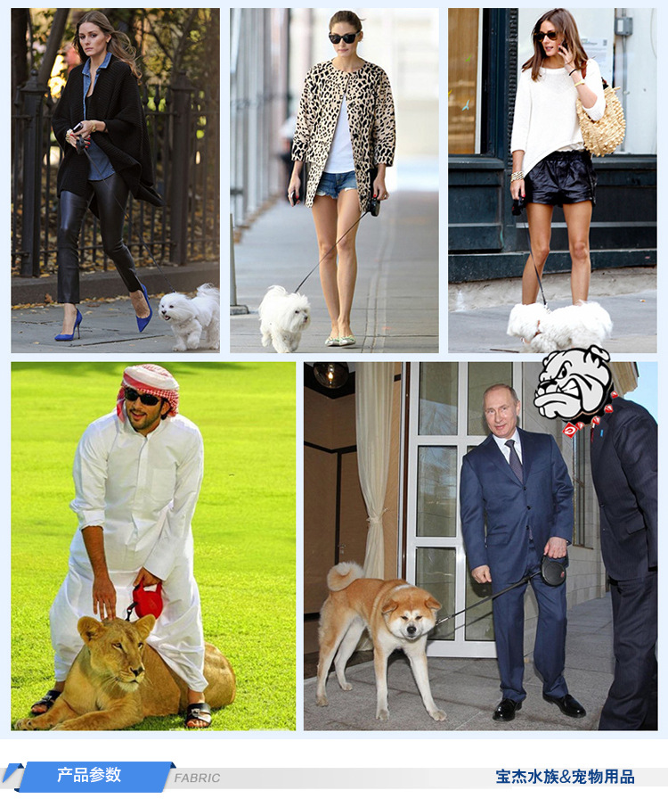 狗狗牵引绳详情页2_06