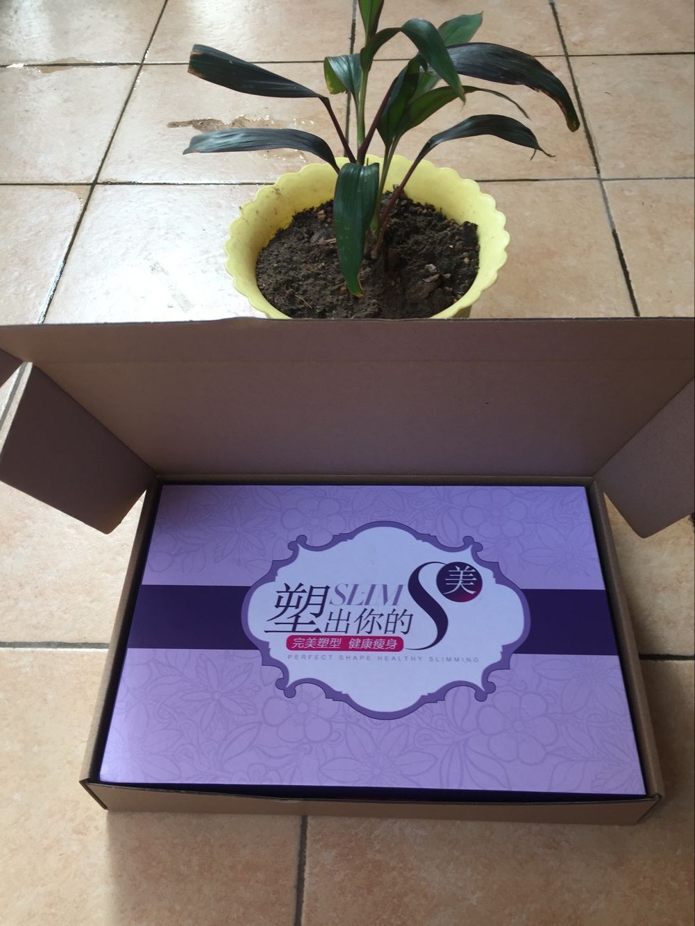 Sous-vêtement minceur L114 en spandex - Ref 687018 Image 6