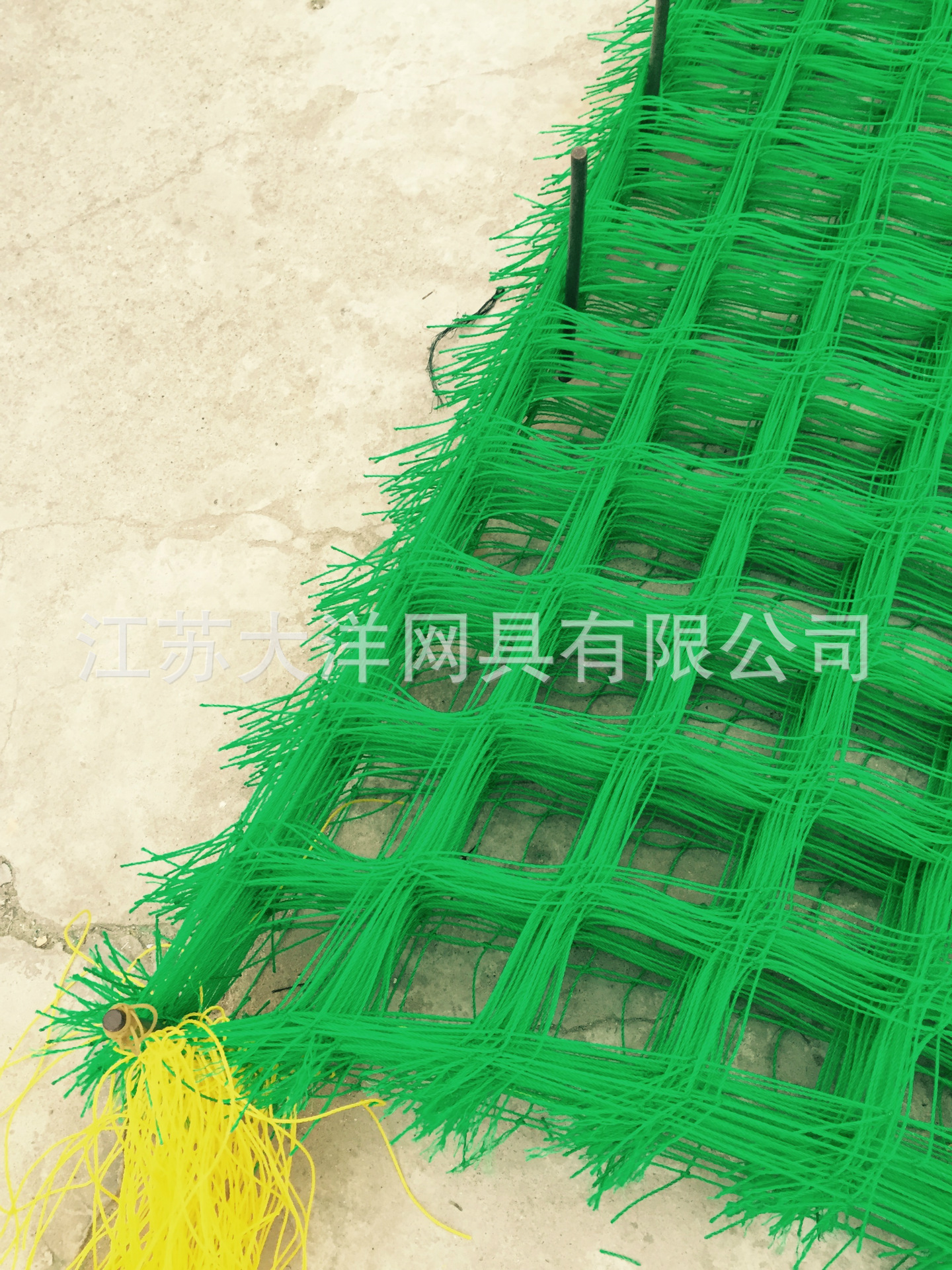 厂家供应 大洋网具 园艺网 聚乙烯农业用网