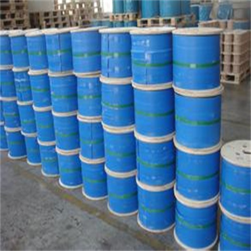 進(jìn)口不銹鋼絲繩