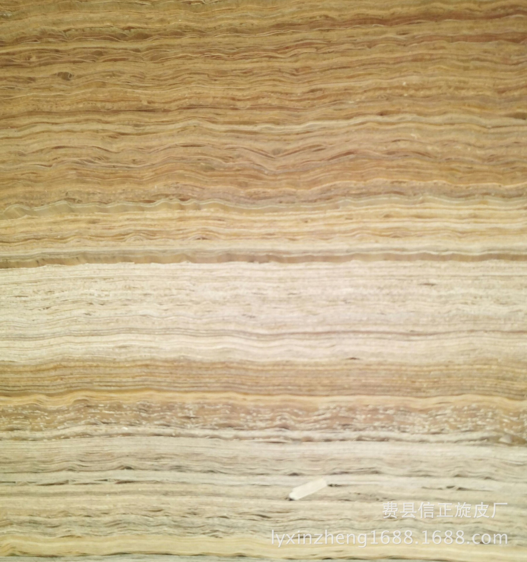 IMG_20160401_144504-1