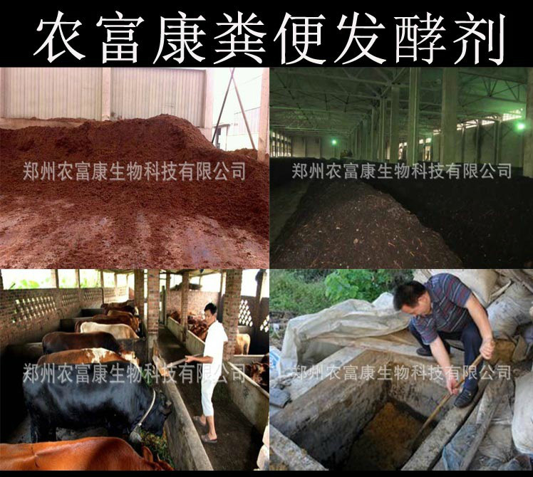 粪便发酵剂